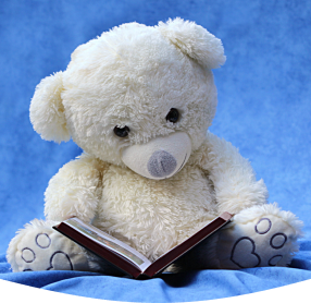 Teddy Bear